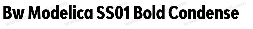 Bw Modelica SS01 Bold Condensed字体转换